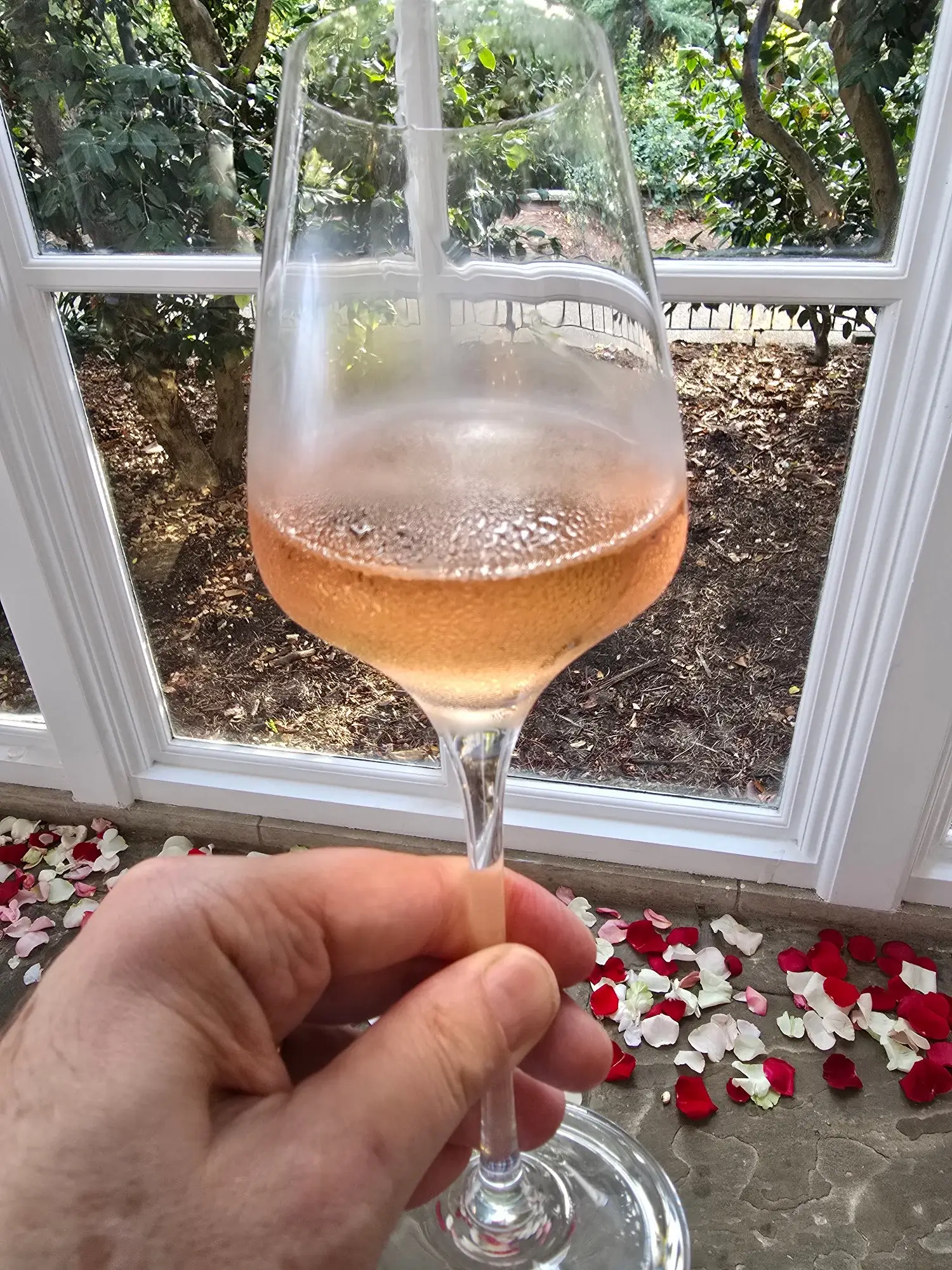 Glass of Ewelme Hills rosé A glass of Ewelme Hills Pinot Noir Rosé 2025